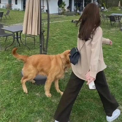 黄飞鸿